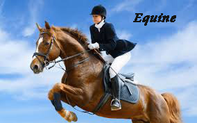 Horse-Jumping-2