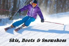 Ski-Carver-2